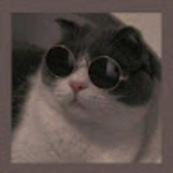 Meet your Posher, Mya - Picture 1 of 1